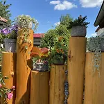 Haus Steffine Apartment *