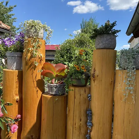 Haus Steffine 아파트 *