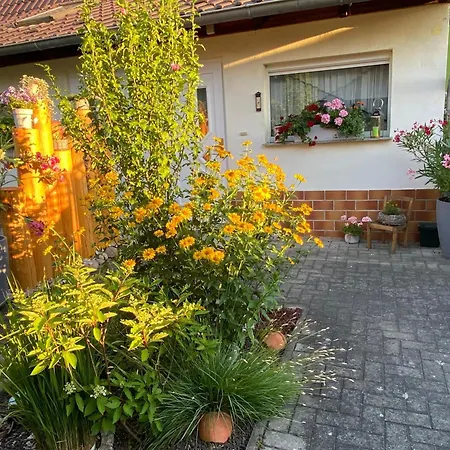 Haus Steffine Apartment *