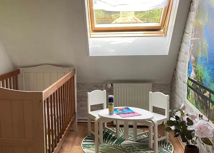 Haus Steffine 公寓 *